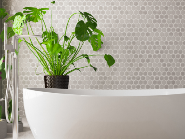 Ontwerp Zonder Titel 2023 02 13 T150308 065