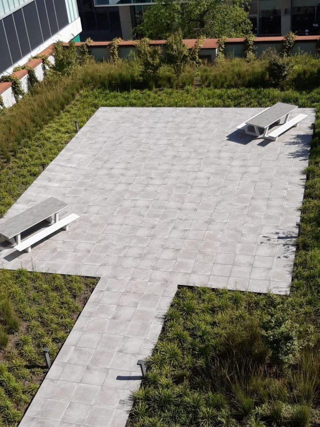 65292Ce3 C9Ba 4Afb A9F9 91Ce0C64Ae69